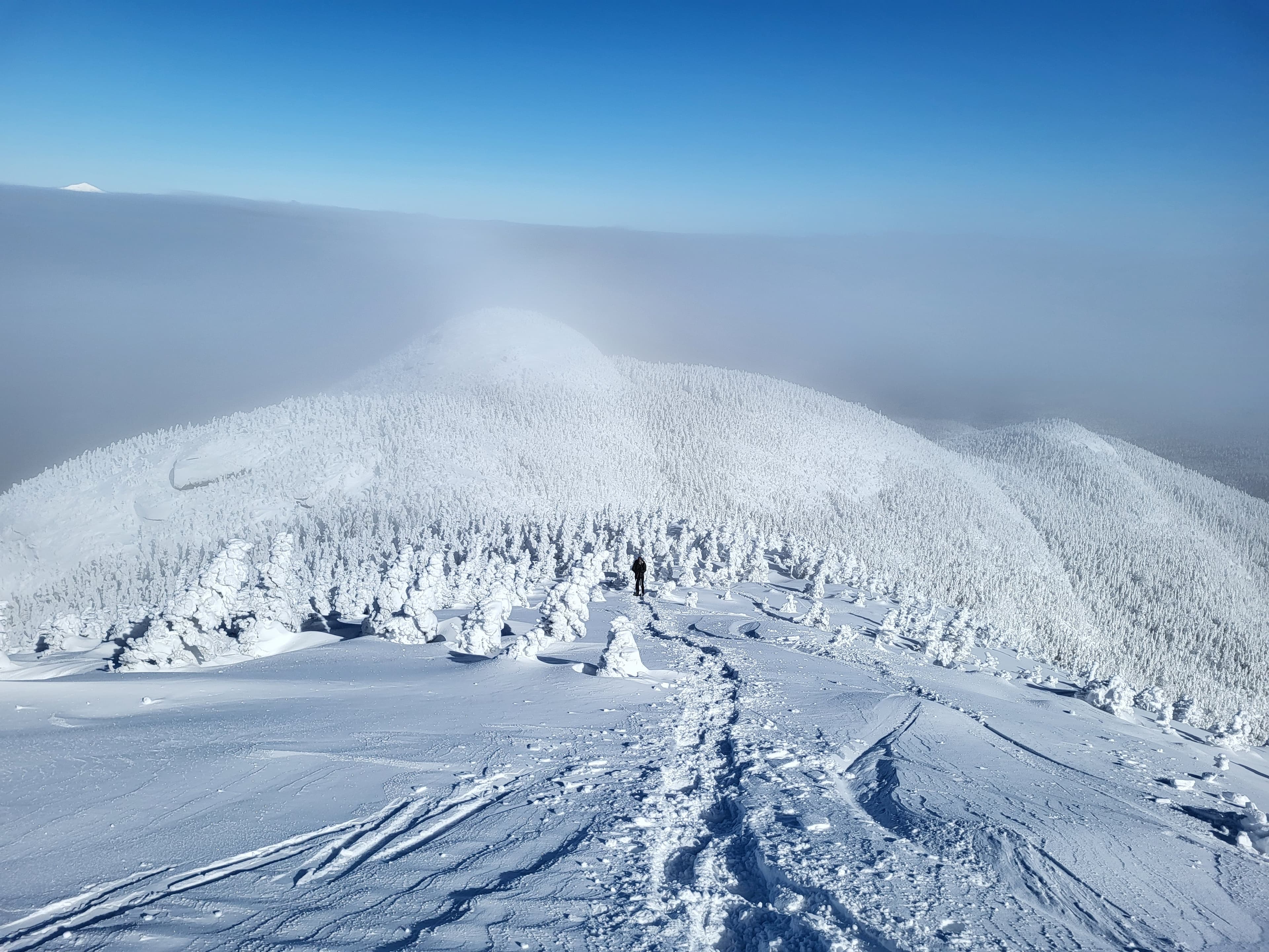 Winter Mountain
